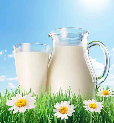 Blog Banner